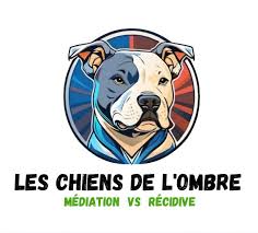 Découvrez l’association Les Chiens de l’Ombre, fondée par Karim Mokhtari. Un refuge unique qui réhabilite des chiens catégorisés et accompagne des jeunes en quête de seconde chance.