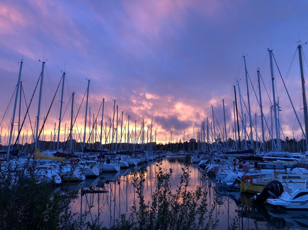 Fabien Combes Place au port